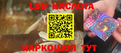 круглые Кингисепп