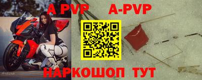 круглые Кингисепп