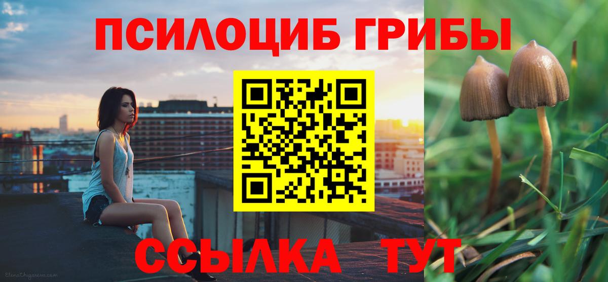 Псилоцибиновые грибы ЛСД  Вход с VPN  Вологда  Галлюциногенные грибы Magic Shrooms 